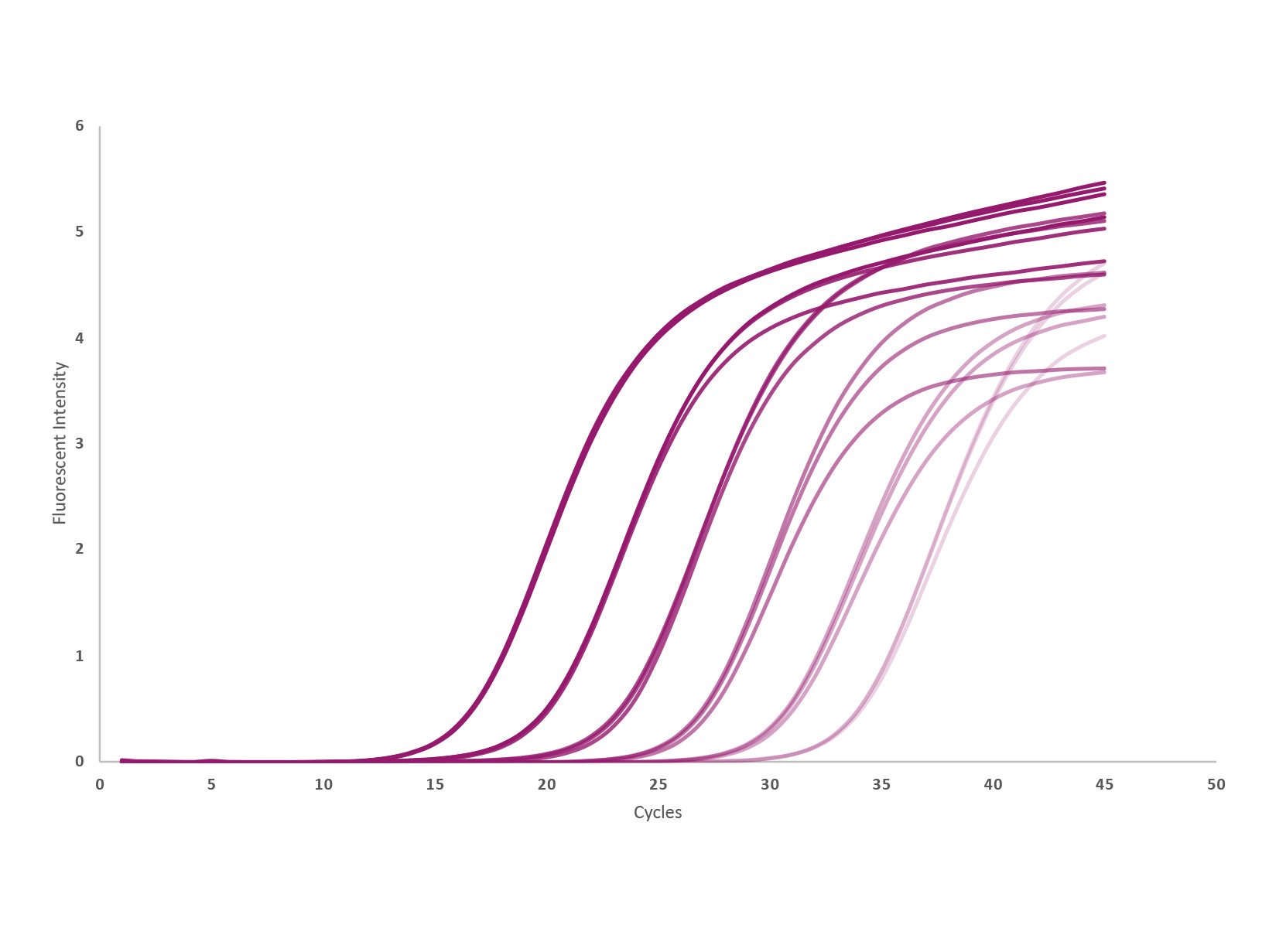 Data image showing amplification trace of mouse ACTB gene using qPCRBIO Probe 1-Step Go